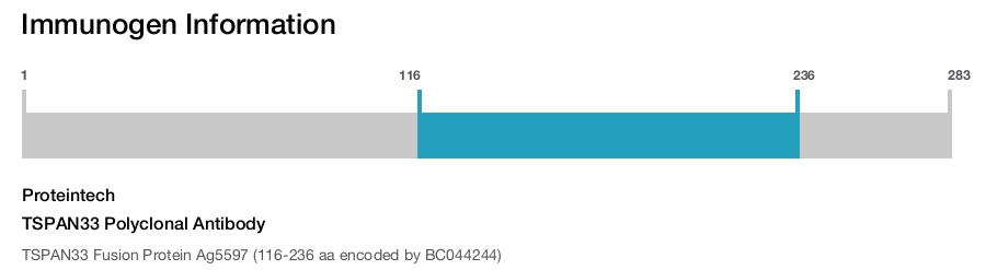 TSPAN33 Polyclonal Antibody