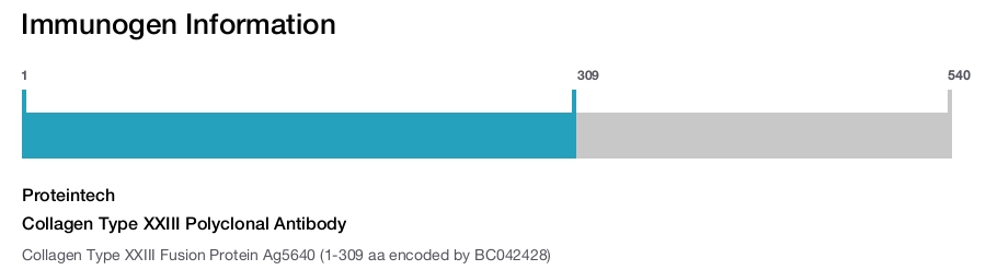 Collagen Type XXIII Polyclonal Antibody