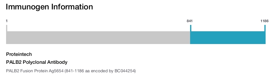 PALB2 Polyclonal Antibody