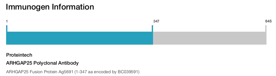 ARHGAP25 Polyclonal Antibody