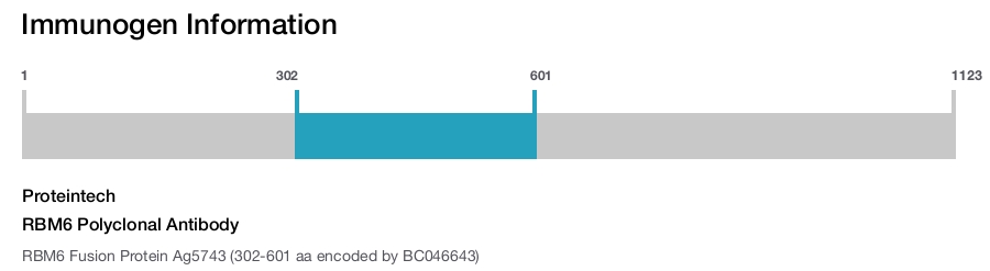 RBM6 Polyclonal Antibody