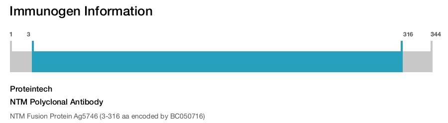 NTM Polyclonal Antibody