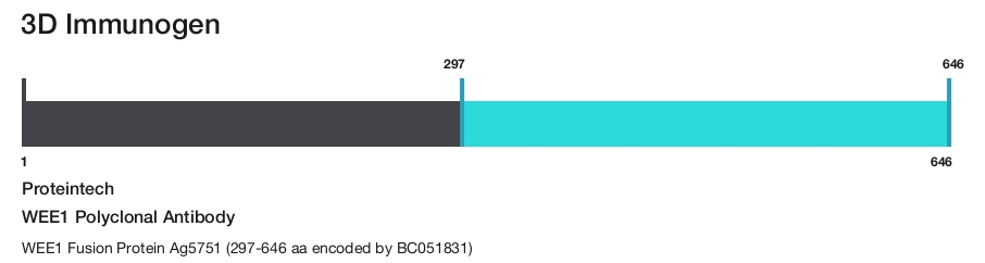 WEE1 Polyclonal Antibody