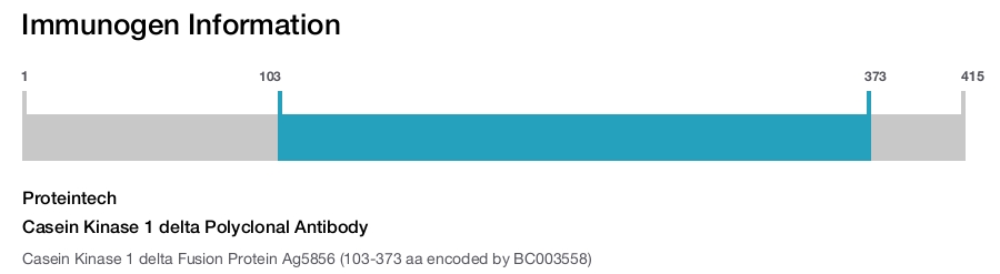 Casein Kinase 1 delta Polyclonal Antibody