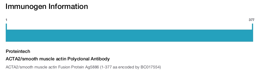 ACTA2/smooth muscle actin Polyclonal Antibody
