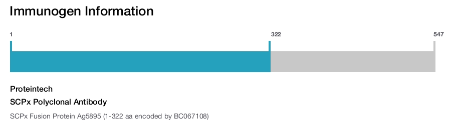 SCPx Polyclonal Antibody