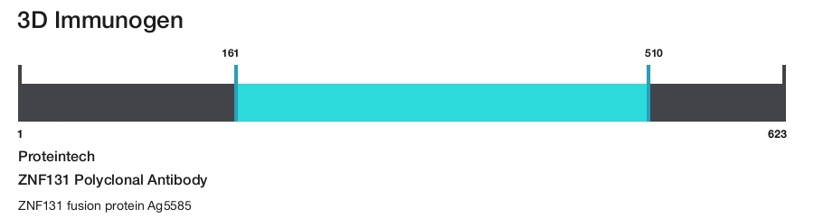 ZNF131 Polyclonal Antibody