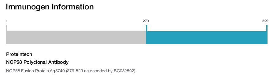 NOP58 Polyclonal Antibody