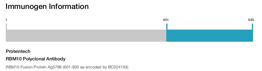 RBM10 Polyclonal Antibody
