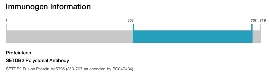 SETDB2 Polyclonal Antibody