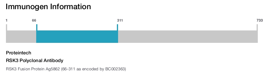 RSK3 Polyclonal Antibody