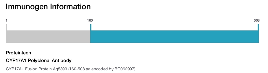 CYP17A1 Polyclonal Antibody