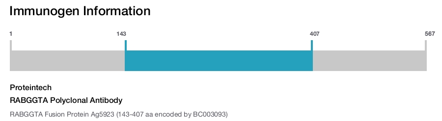 RABGGTA Polyclonal Antibody