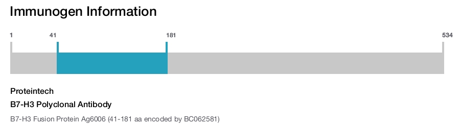B7-H3 Polyclonal Antibody