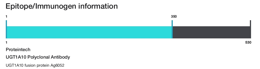 UGT1A10 Polyclonal Antibody