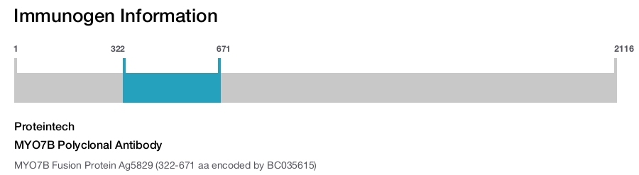 MYO7B Polyclonal Antibody
