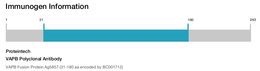 VAPB Polyclonal Antibody