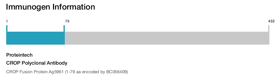CROP Polyclonal Antibody