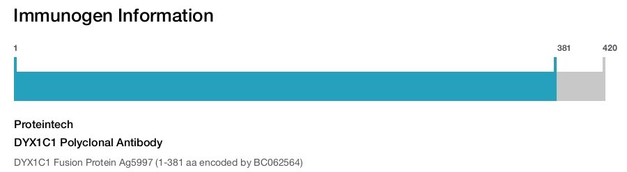 DYX1C1 Polyclonal Antibody