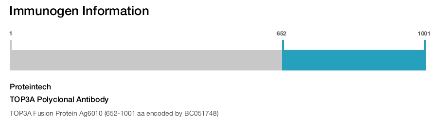 TOP3A Polyclonal Antibody