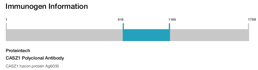 CASZ1 Polyclonal Antibody