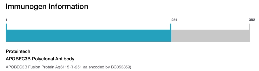 APOBEC3B Polyclonal Antibody