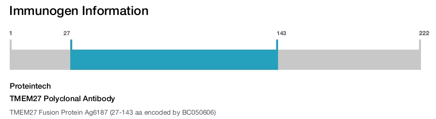 TMEM27 Polyclonal Antibody