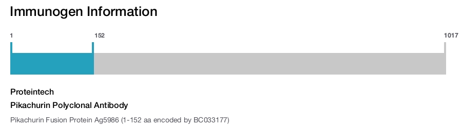 Pikachurin Polyclonal Antibody