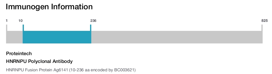 HNRNPU Polyclonal Antibody