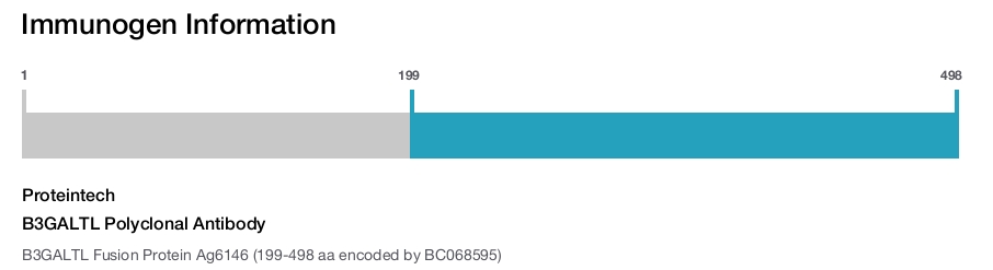 B3GALTL Polyclonal Antibody