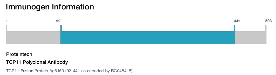 TCP11 Polyclonal Antibody