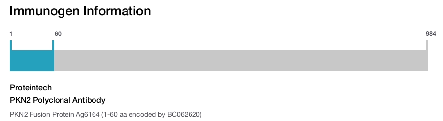 PKN2 Polyclonal Antibody