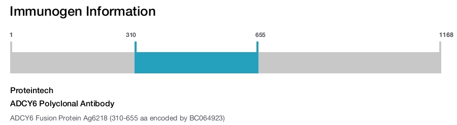 ADCY6 Polyclonal Antibody