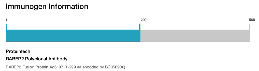 RABEP2 Polyclonal Antibody