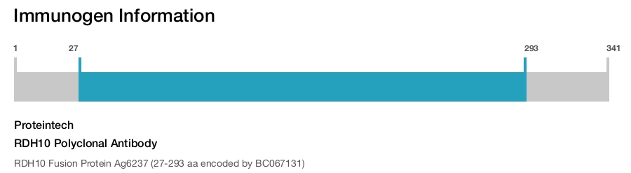 RDH10 Polyclonal Antibody