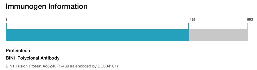BIN1 Polyclonal Antibody