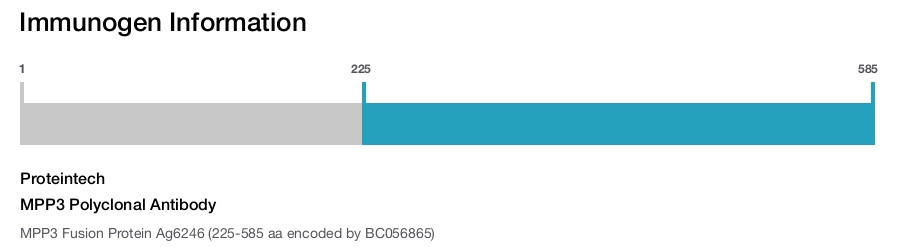 MPP3 Polyclonal Antibody
