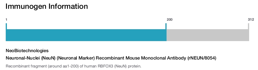 Neuronal-Nuclei (NeuN) (Neuronal Marker) Recombinant Mouse Monoclonal Antibody (rNEUN/8054)