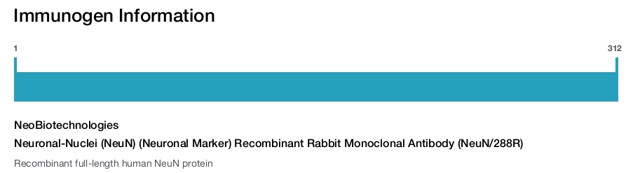 Neuronal-Nuclei (NeuN) (Neuronal Marker) Recombinant Rabbit Monoclonal Antibody (NeuN/288R)