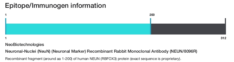 Neuronal-Nuclei (NeuN) (Neuronal Marker) Recombinant Rabbit Monoclonal Antibody (NEUN/8096R)