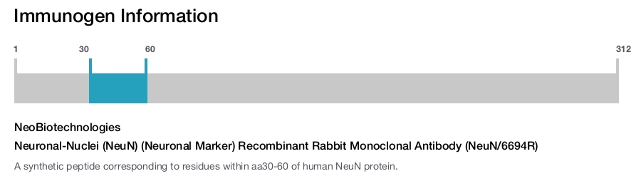 Neuronal-Nuclei (NeuN) (Neuronal Marker) Recombinant Rabbit Monoclonal Antibody (NeuN/6694R)