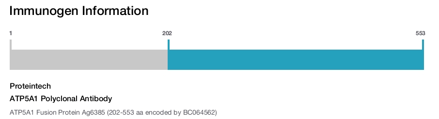 ATP5A1 Polyclonal Antibody