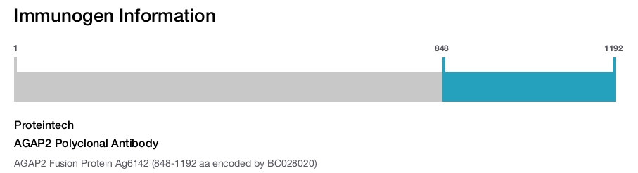 AGAP2 Polyclonal Antibody