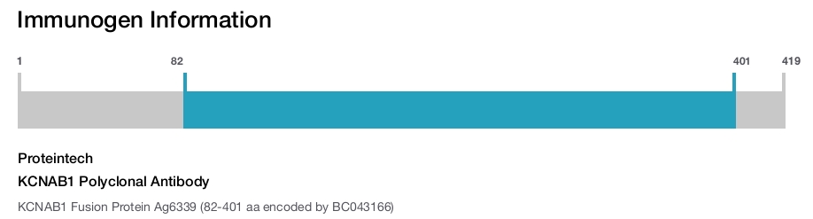 KCNAB1 Polyclonal Antibody
