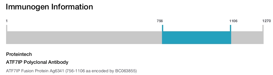 ATF7IP Polyclonal Antibody
