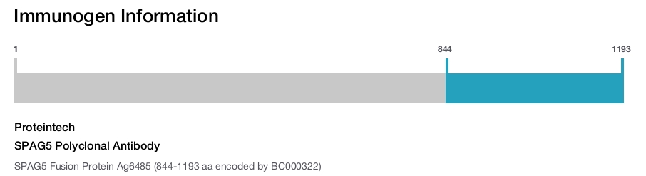 SPAG5 Polyclonal Antibody