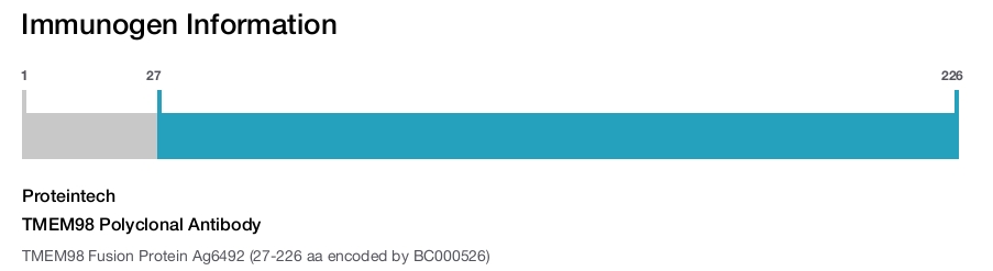 TMEM98 Polyclonal Antibody