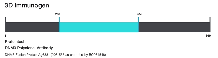 DNM3 Polyclonal Antibody