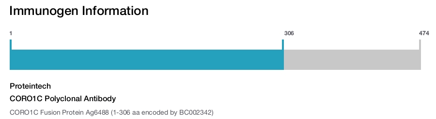 CORO1C Polyclonal Antibody