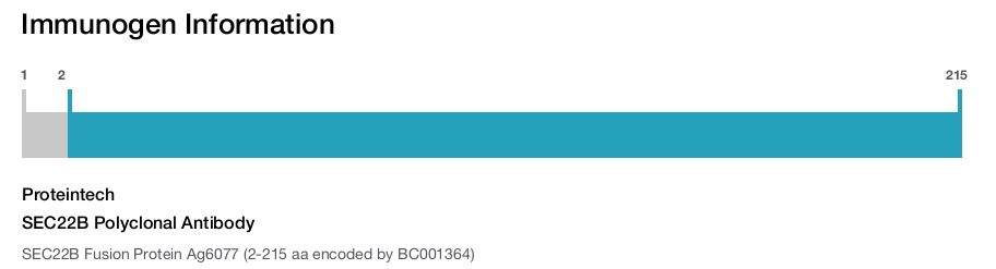 SEC22B Polyclonal Antibody